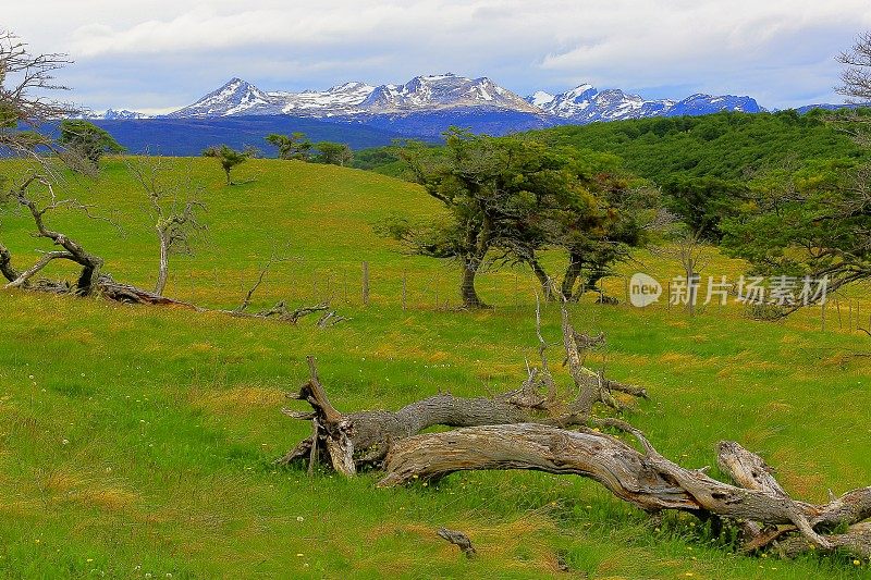 田园诗般的安第斯景观，乌斯怀亚-火地岛，阿根廷-南美