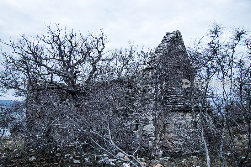 海边的老废墟，前面是光秃秃的树
