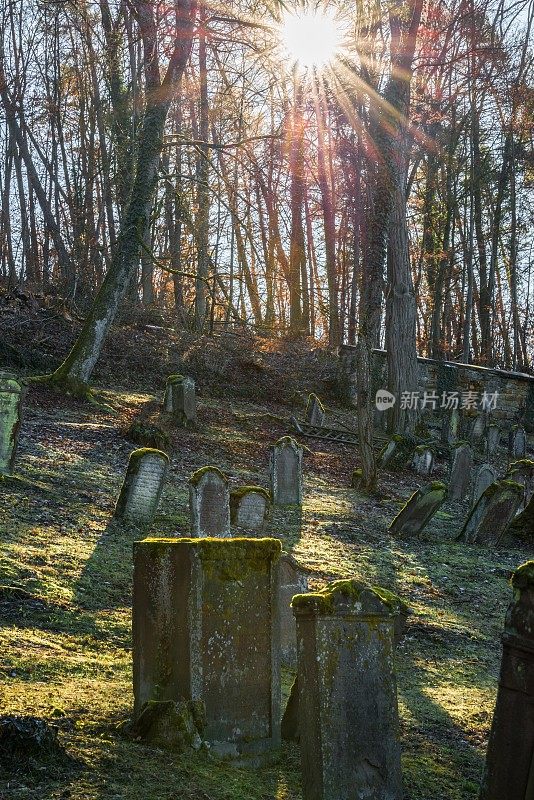 阳光照射在古老的犹太墓地和风化的墓碑上，德国