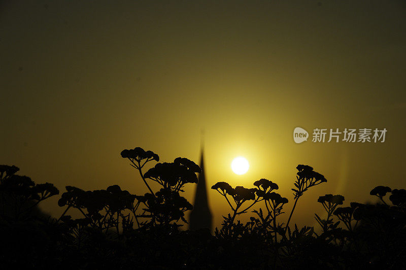 农村日出场景