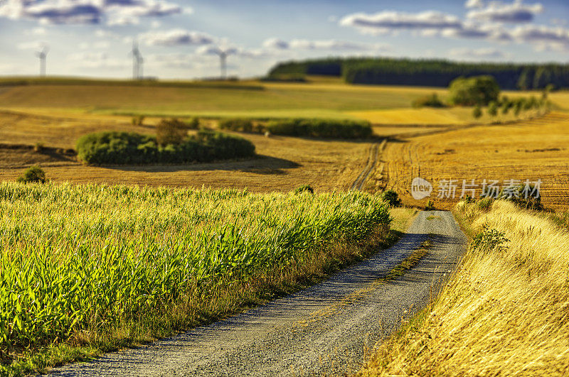 乡村景观中的乡村道路(HDRi)