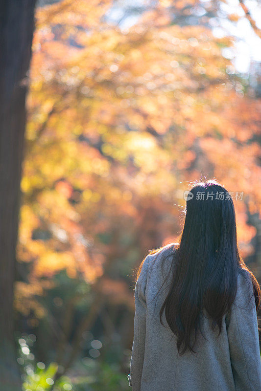 女人走在秋天的森林里