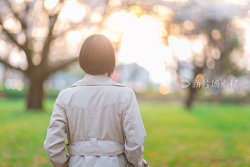 年轻的女商人在公园的樱花树下日落