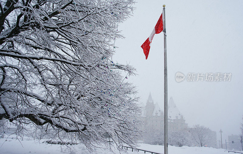 雪中的渥太华