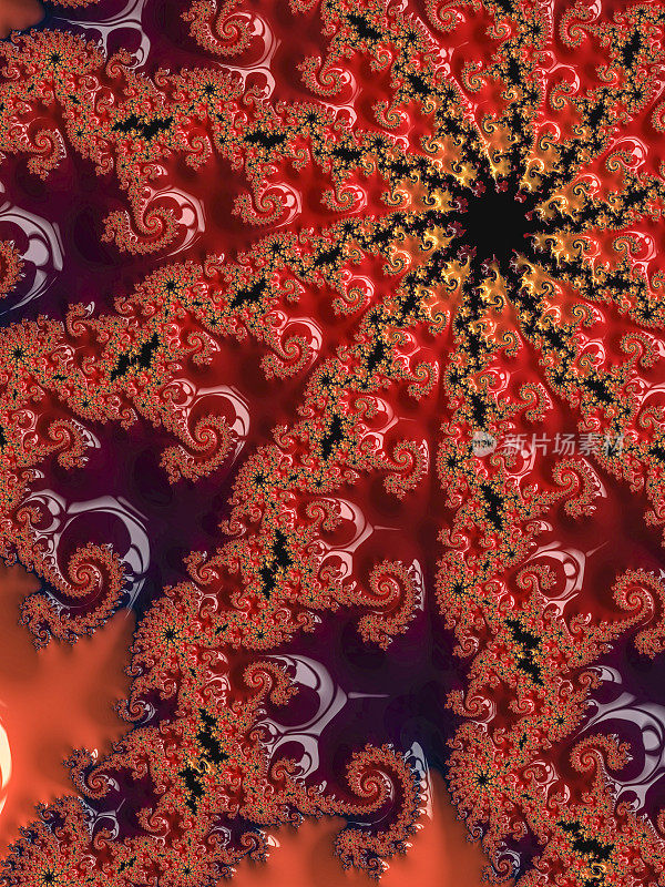 高分辨率橙色、粉色和红色分形，图案让人联想到通过显微镜看到的花朵。