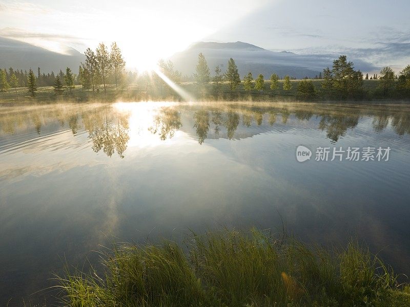 森林和山脉的完美反射在湖在日出