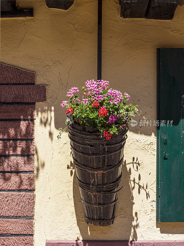 法国东部村庄Kintzheim(阿尔萨斯)的房子façade上的花