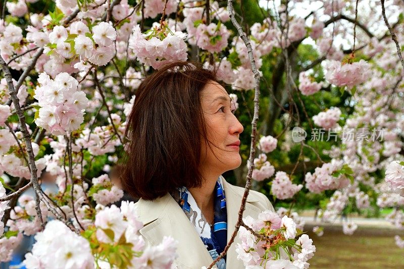 日本女子在东京赏樱花