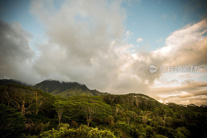 夏威夷考艾岛，郁郁葱葱的Makaleha山