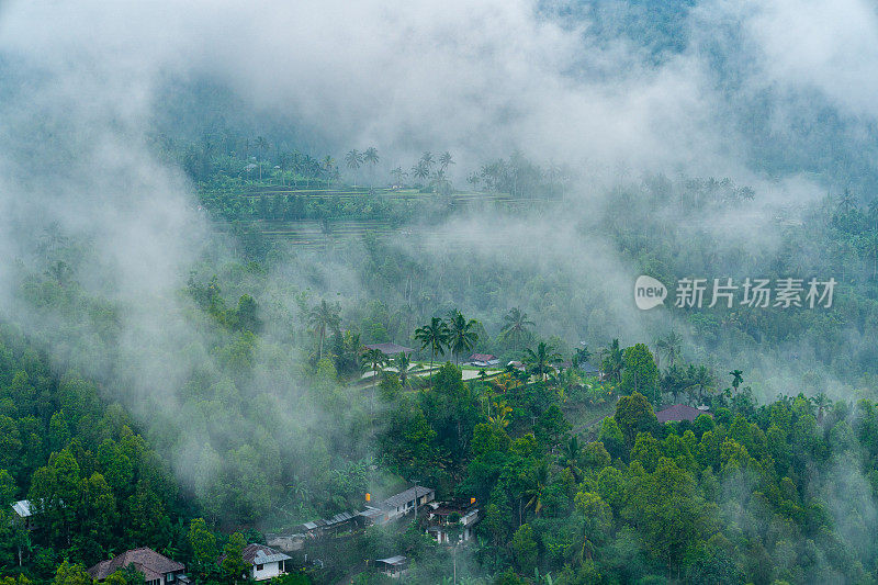 云雾缭绕的山峦覆盖着雨林。