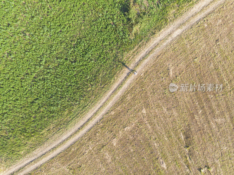 英俊的成年男子慢跑在泥泞的乡村道路穿过草地在阳光明媚的夏天