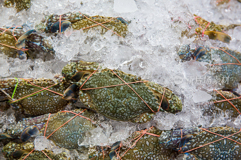 花蟹、青泳蟹、蓝甘露蟹、沙蟹、海梭子蟹。海鲜市场里成堆的新鲜青蟹。