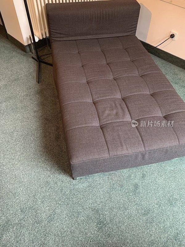 棕色的床沙发在绿色的地毯地板上