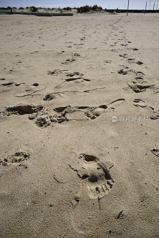 冬天在班伯里寂寞的海滩上留下的脚印