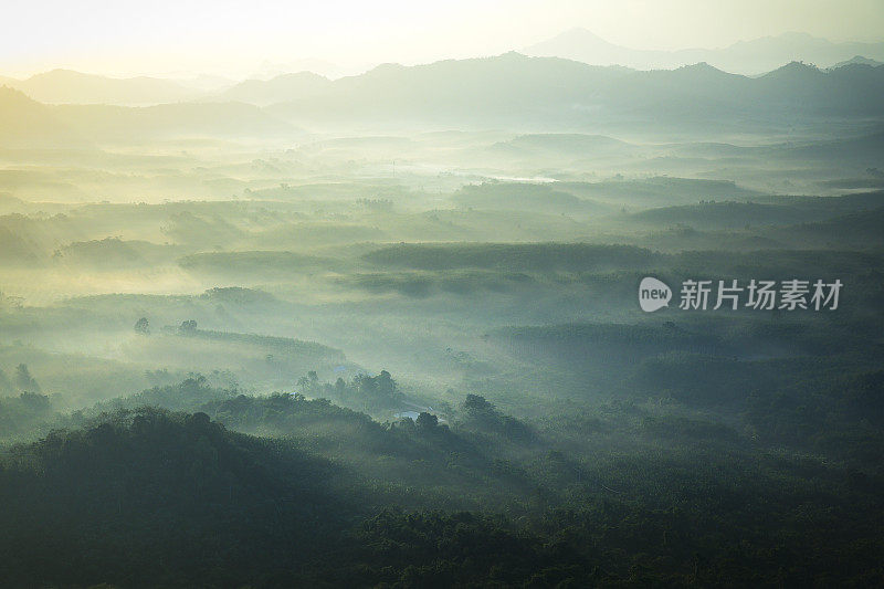 晨曦中的青山绿林