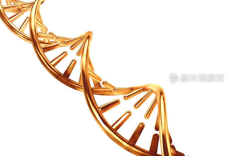 白色背景上分离出的金金属DNA