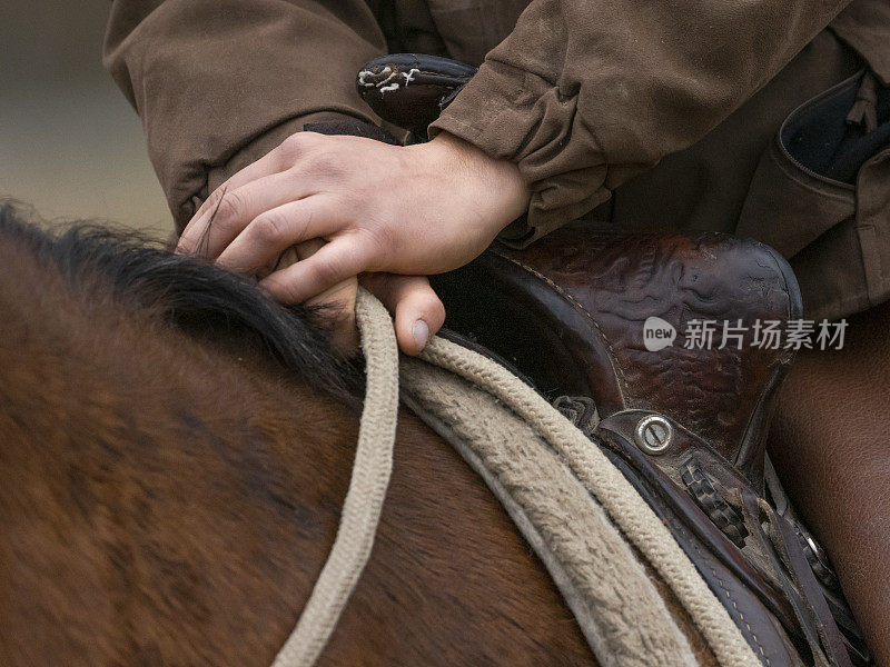 马和女骑手近距离马背蒙大拿