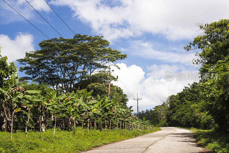 古巴维拉克拉拉省科兰特斯自然保护区公园穿过托普斯的小路