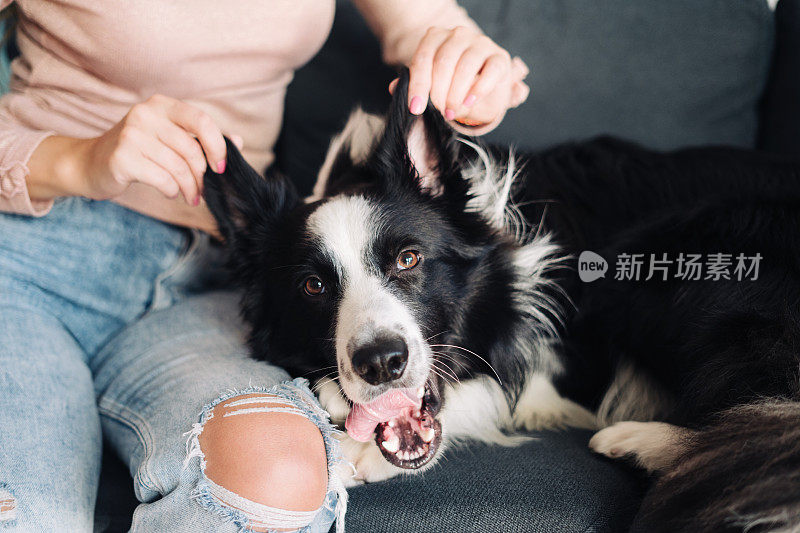 一个女人在家里和她的狗玩