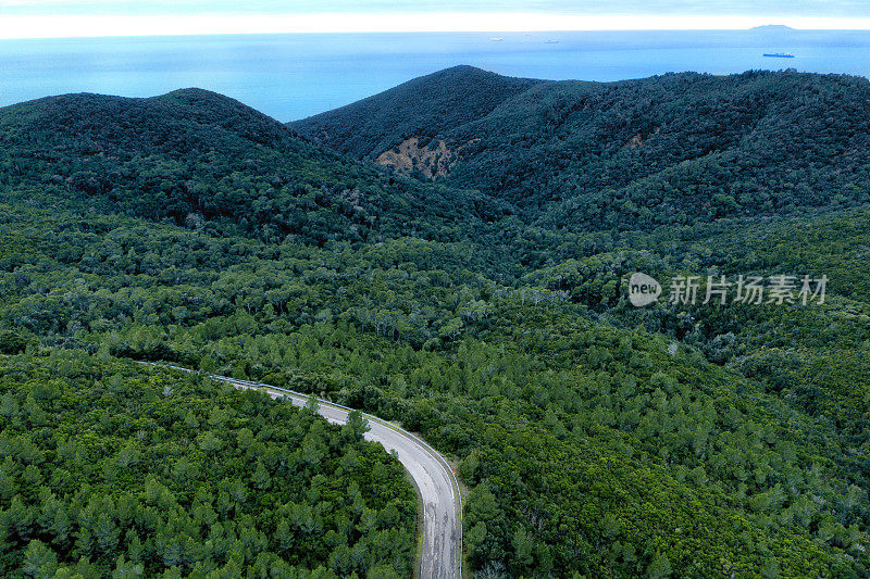 鸟瞰图的道路在森林朝向大海，托斯卡纳，意大利