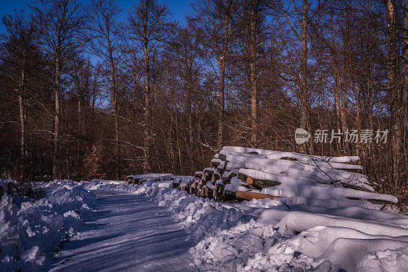 原木被雪覆盖