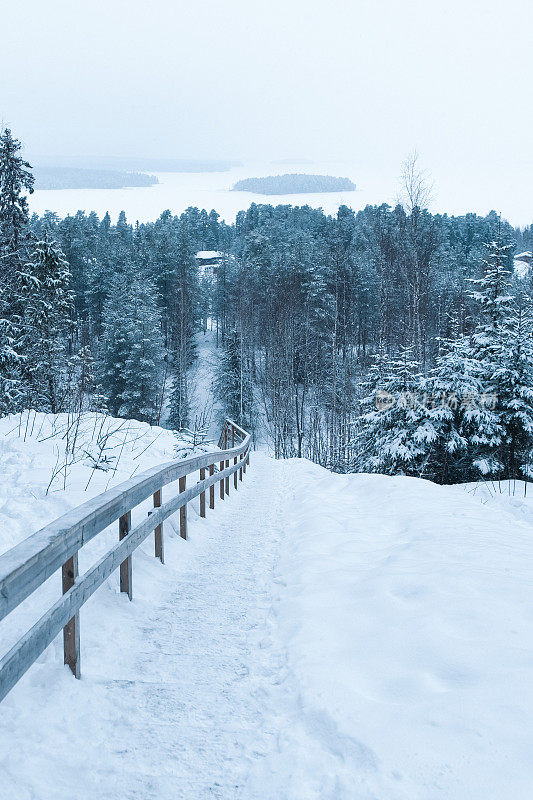 芬兰冬季自然景观，白雪覆盖的森林，高山和通往观景台的木楼梯