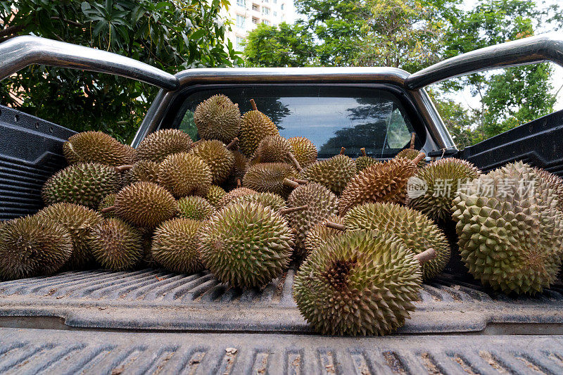 一堆榴莲装上了卡车