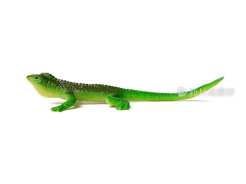 白色背景上孤立的鬣蜥玩具特写。
