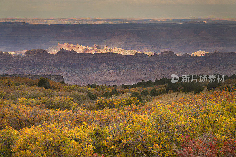 秋天的颜色在拉萨尔山脉和摩押犹他州峡谷地
