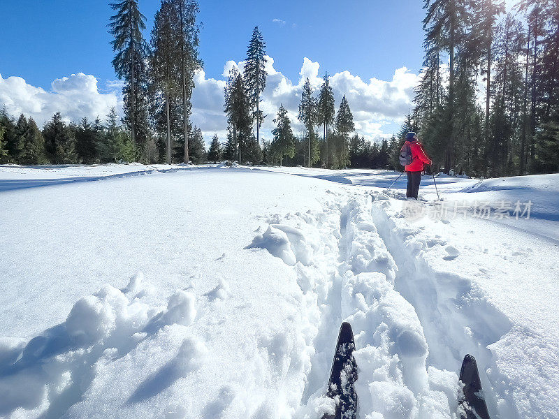 POV，越野滑雪者在森林公园的新雪中滑雪