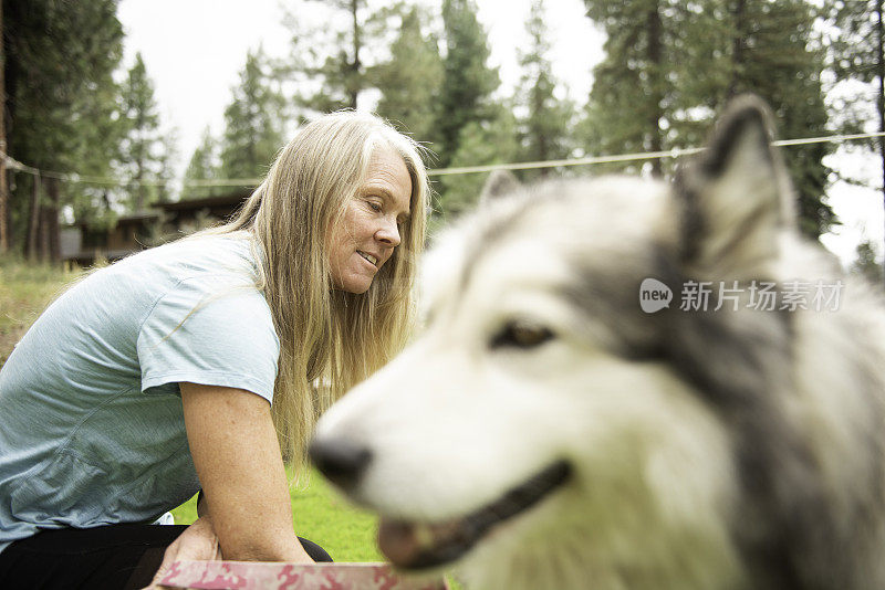 一名妇女梳理她的雪橇犬的画像