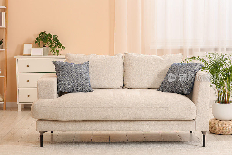 客厅里舒适的沙发和盆栽。室内设计