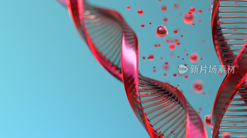 摘要Dna结构。科学研究