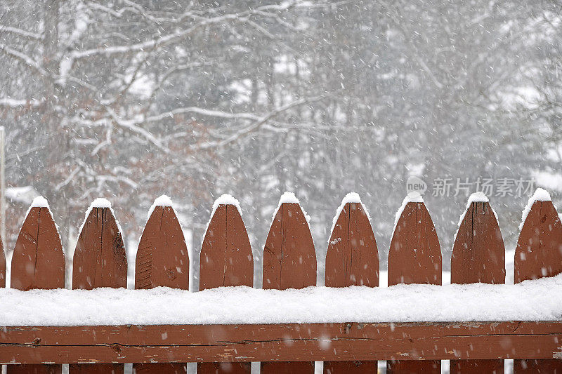 落在木篱笆上的雪