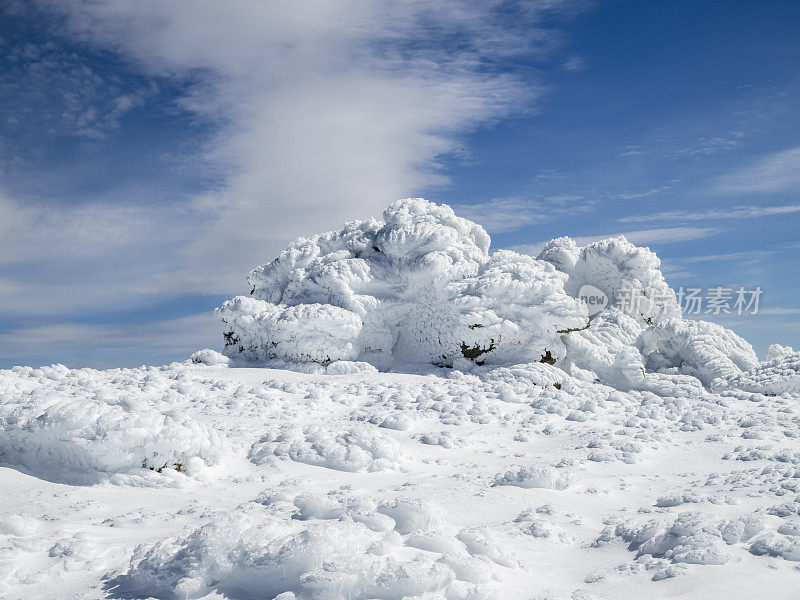 冬季高山白雪皑皑的冬季景观