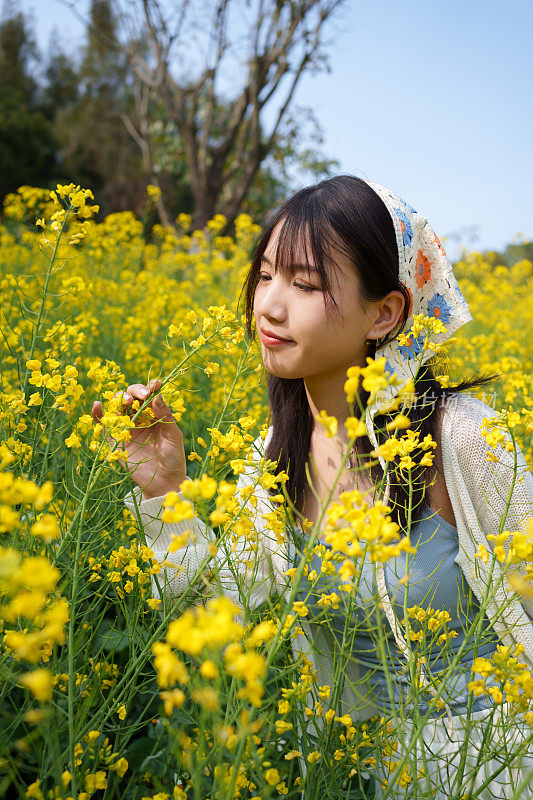 油菜花中的可爱女孩