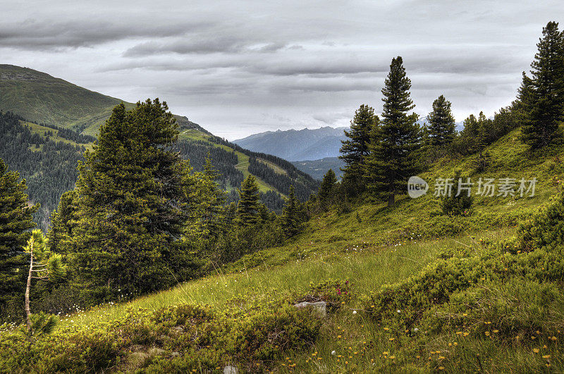 齐勒塔尔阿尔卑斯景观HDR(奥地利)