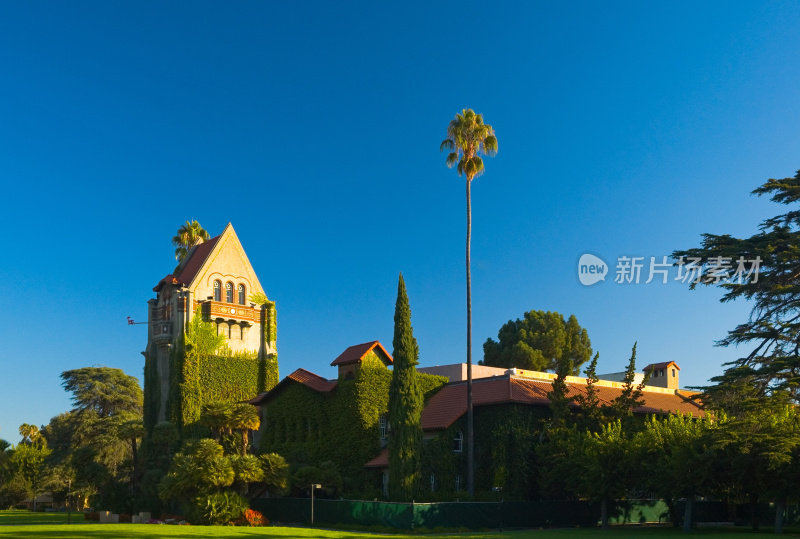 圣何塞州立大学