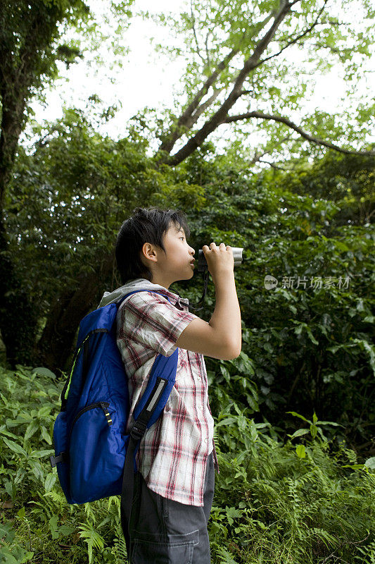 男孩用双筒望远镜在森林里看