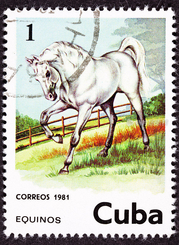 取消古巴邮票雄伟的白马站在牧场