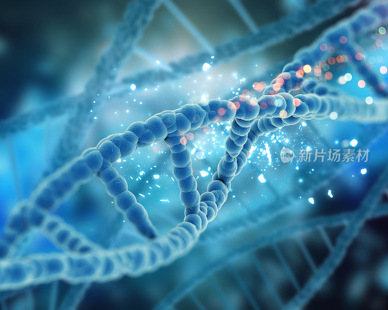 医学DNA背景的3D渲染