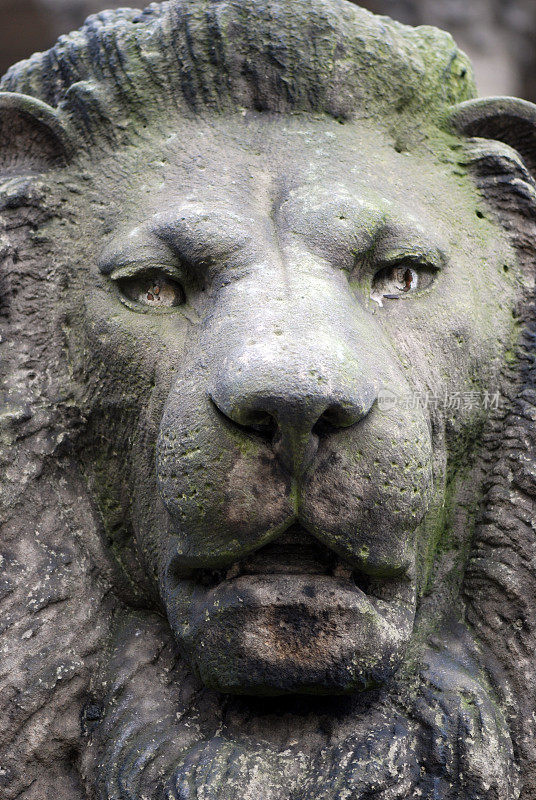 古董狮子雕像肖像