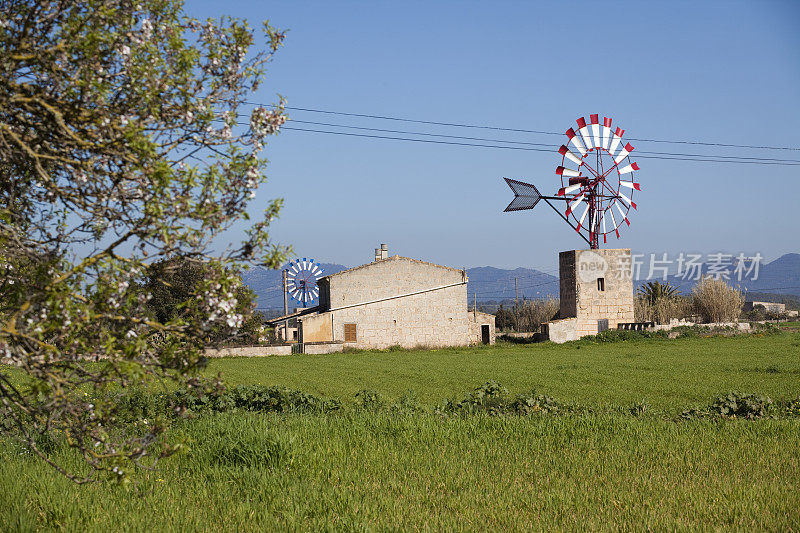 马略卡岛的风车(XXXL)