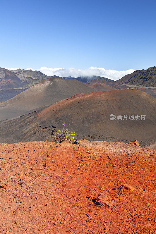 毛伊岛的红哈雷阿卡拉火山口