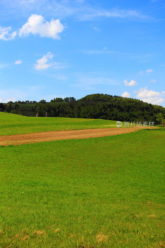 五月的山景。Beskid,波兰。