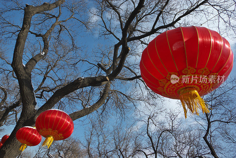 中国新年