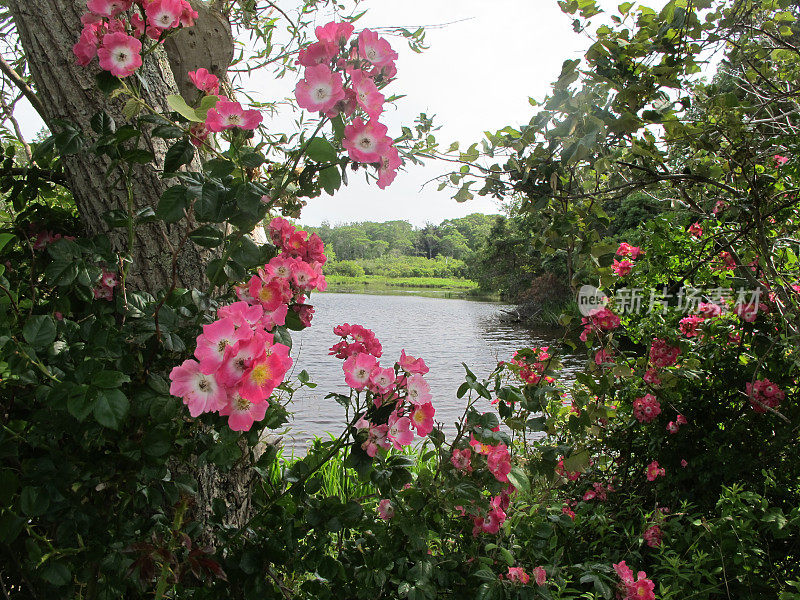 花框湖