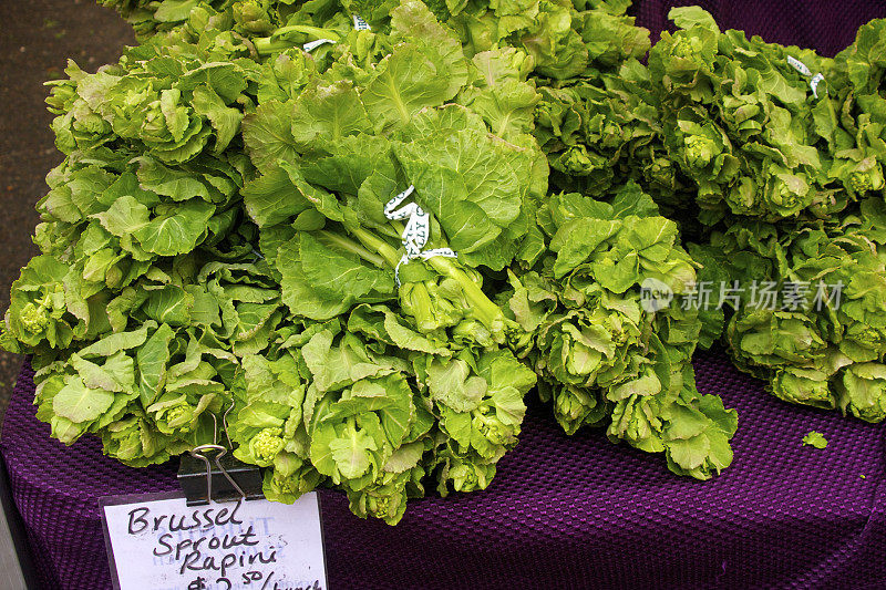 布鲁塞尔壶嘴rapini