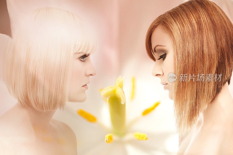 两个美丽女人的侧面与一朵花合成