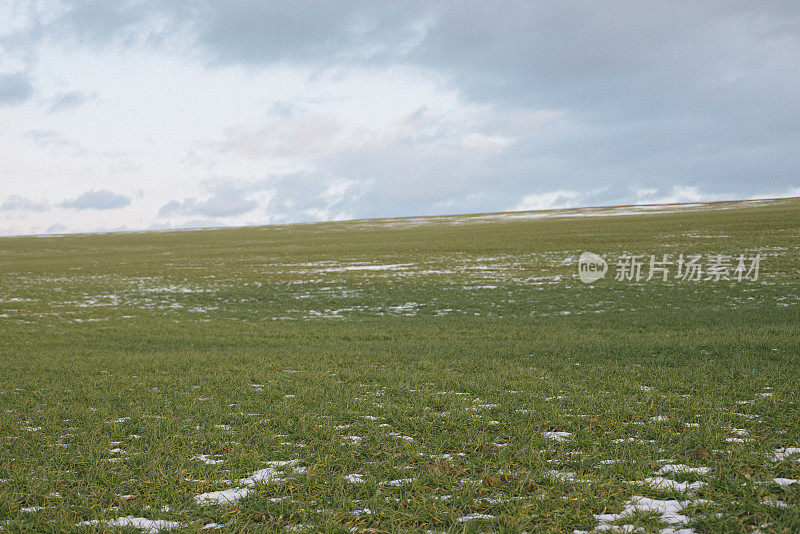 在一个阳光明媚的春日融化的积雪